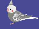 干支オカメインコ